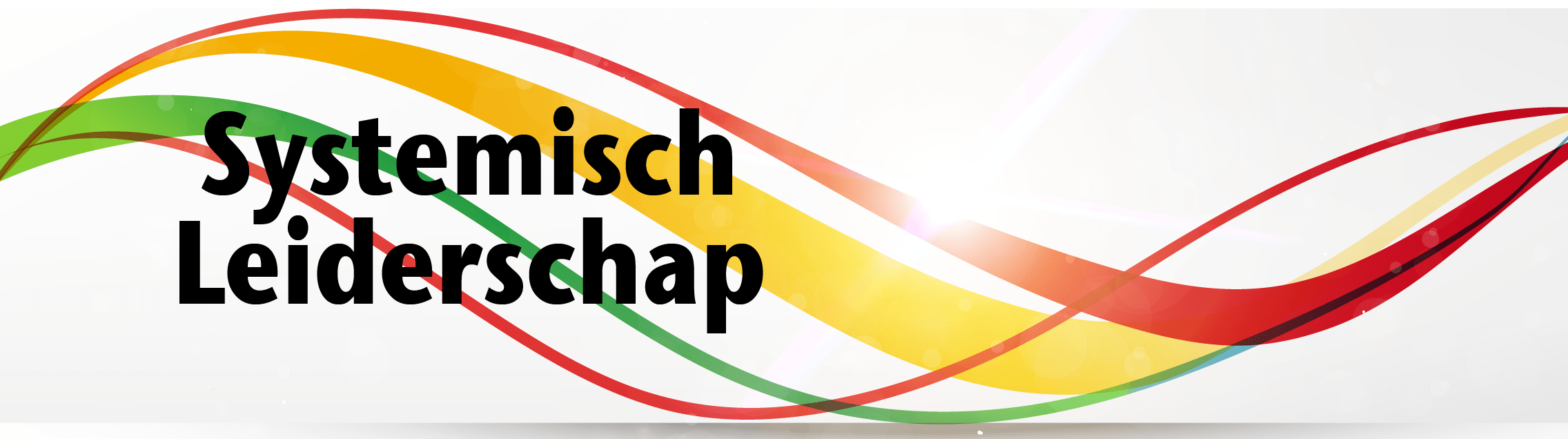 SystemischLeiderschap-test2-01