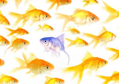 istockphoto 2195262 creative thinking
