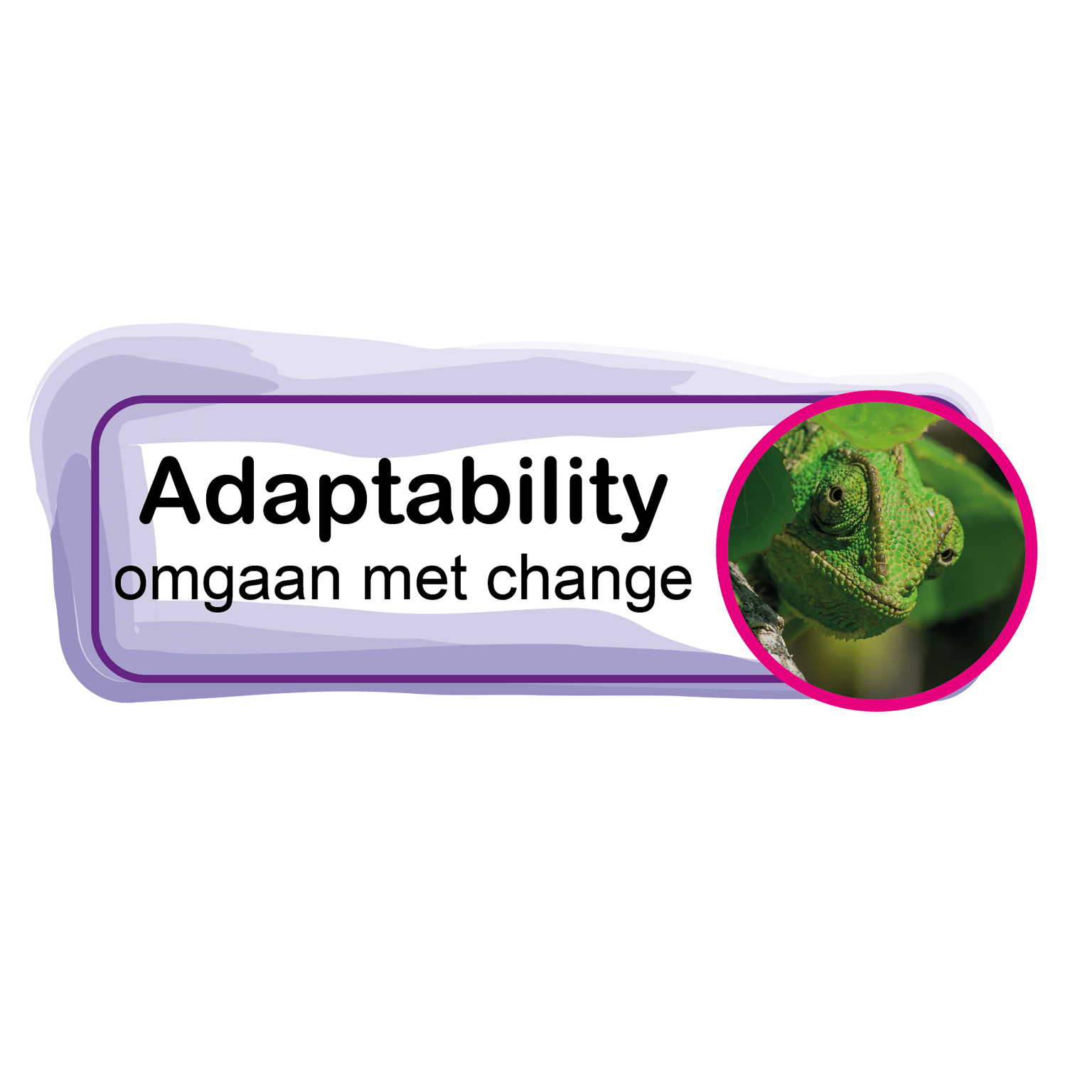 Adaptability Adaptability - aanpassingsvermogen