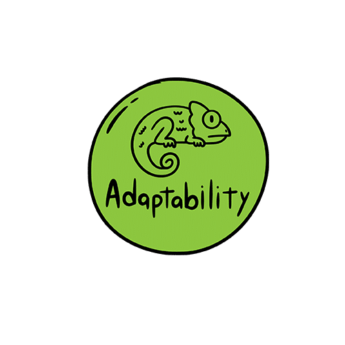 Softskill Adaptability